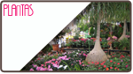 Garden Center